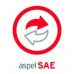 ASPEL SAE 1 USUARIO ADICIONAL ANUAL (ELECTRÓNICO), - Garantía: SG -