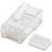 PLUG RJ45,INTELLINET,503006, CAT 6 UTP SOLIDO 100 PZAS, - Garantía: 1 AÑO -